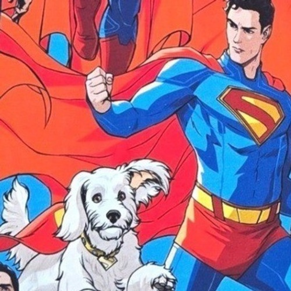 Superman x Cakeworthy T-Shirt Mens Blue All Over Print Krypto Dog XL